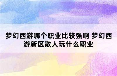 梦幻西游哪个职业比较强啊 梦幻西游新区散人玩什么职业